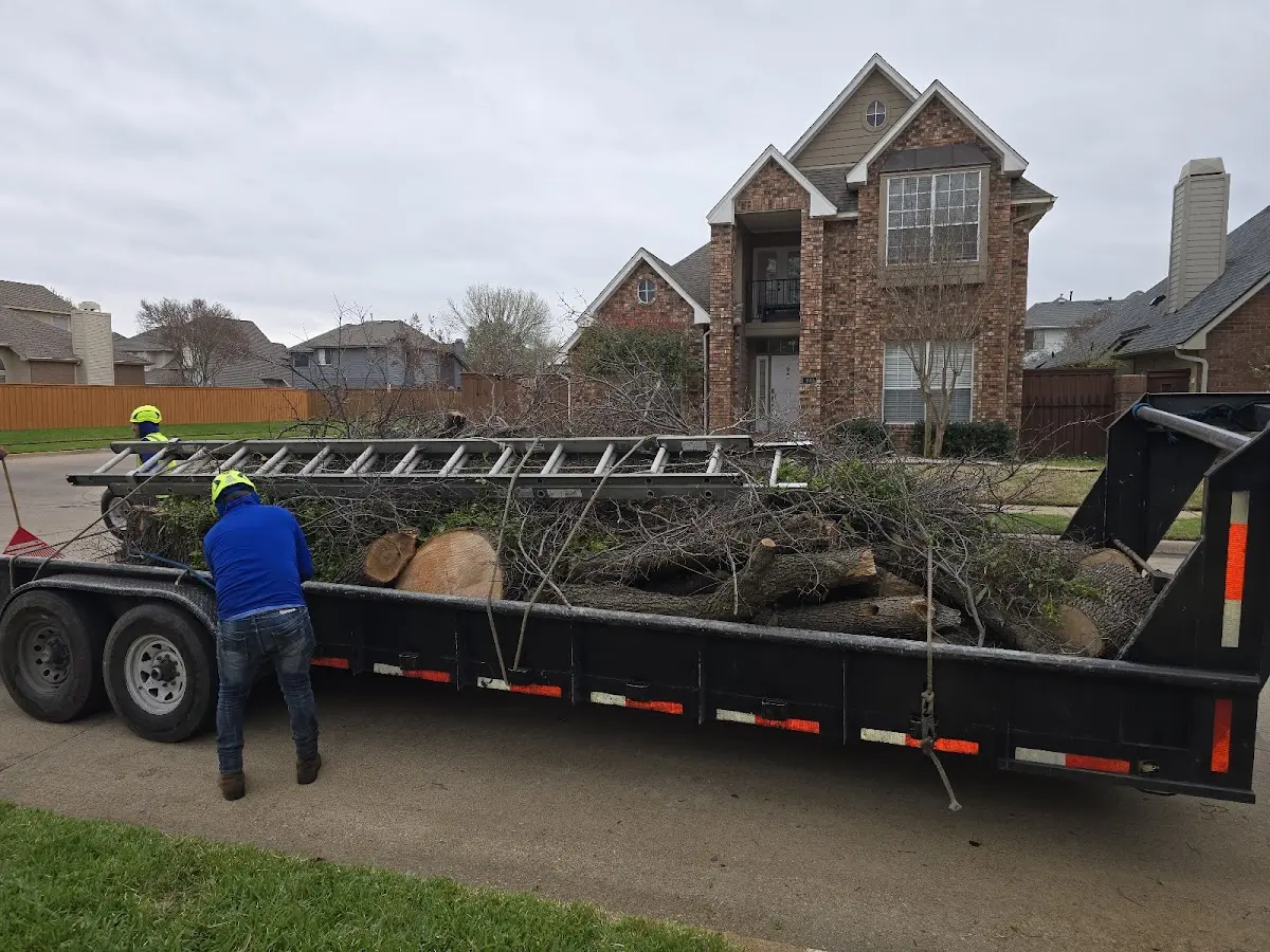 Expert Tree Removal with proper safety equipment in Harveys Lake